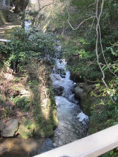 c0072068_17485570.jpg