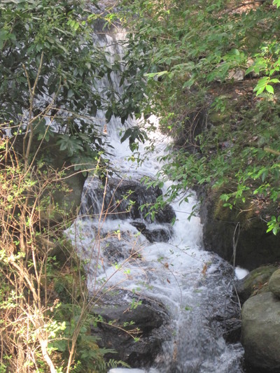 c0072068_1749198.jpg