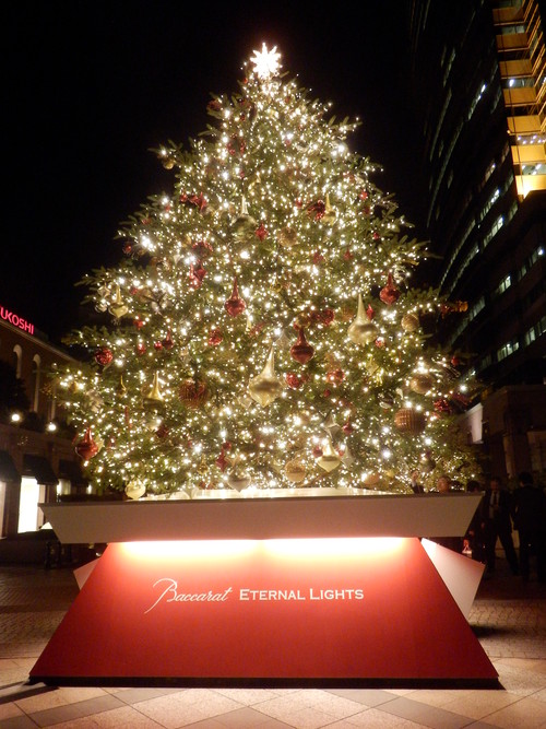 e0292172_216951.jpg