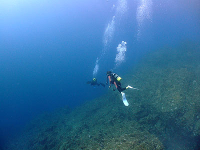 b0033573_16332612.jpg