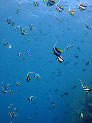 b0033573_16333555.jpg