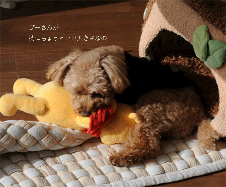 c0196673_1772376.gif