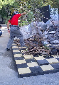 a0287278_16393175.jpg