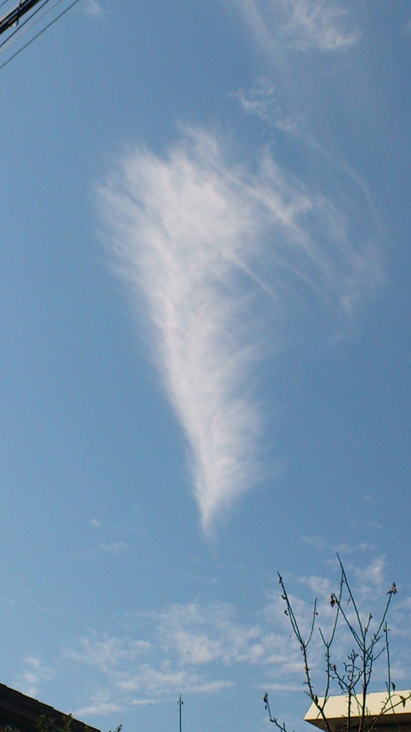 a0137279_1874987.jpg