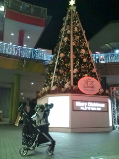 f0155381_21304425.jpg