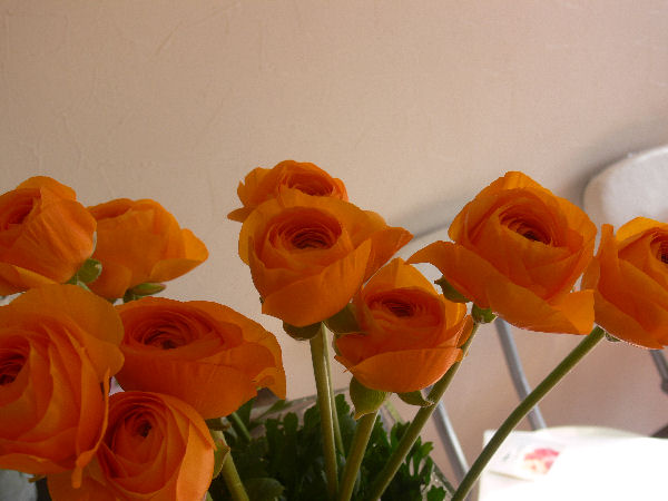 e0140986_14251172.jpg