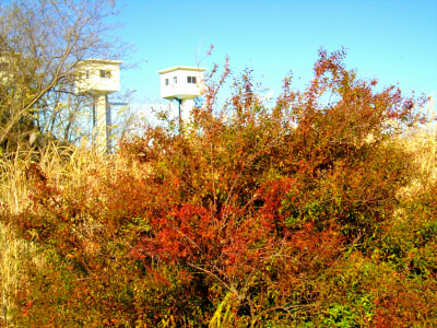 f0071389_2364365.jpg