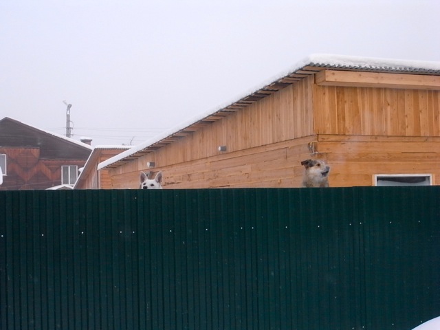 e0250594_203237.jpg
