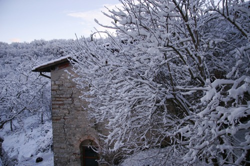 f0106597_2202571.jpg