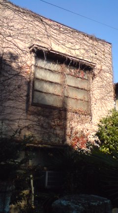 c0202101_032942.jpg