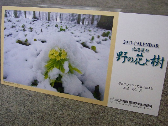 f0157901_13393047.jpg