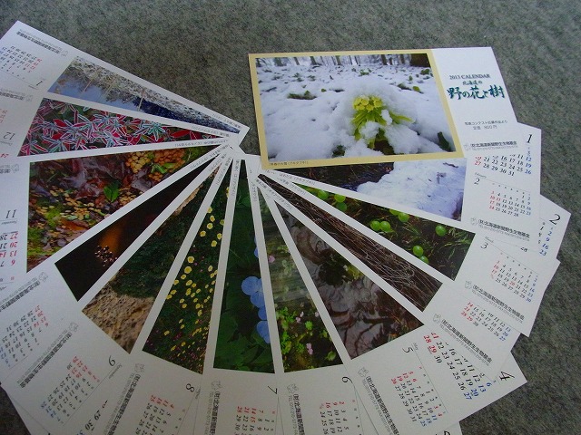 f0157901_13395860.jpg