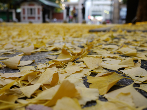 a0164102_15104761.jpg