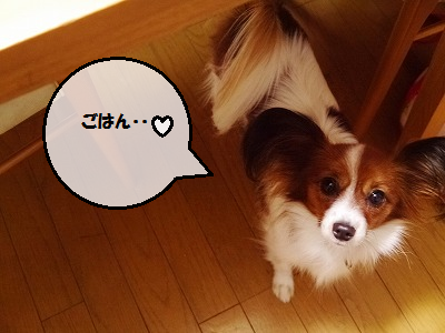 b0243804_2215915.png