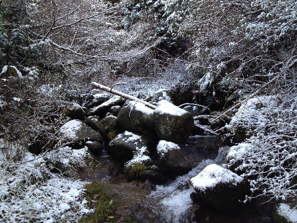 e0002314_20324115.jpg
