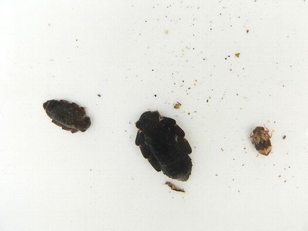 e0002314_20372277.jpg