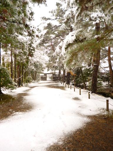 e0135219_11135067.jpg