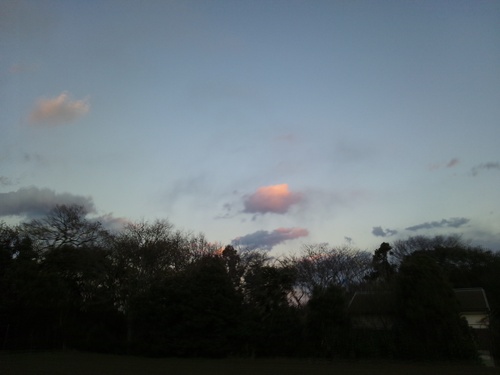 c0150520_225002.jpg