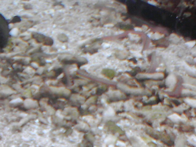 a0291521_1248437.jpg