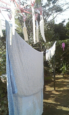 c0117621_16383418.jpg