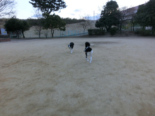 e0179321_13372423.jpg