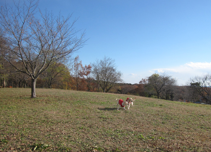 e0244621_22435164.jpg