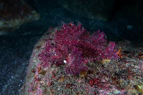 f0206424_9255938.jpg