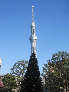 c0051529_22231297.jpg
