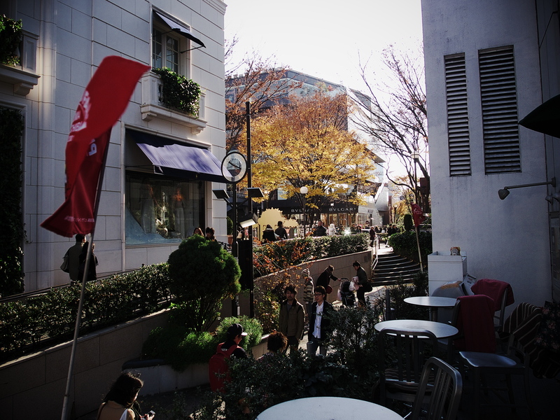 a0253730_21231793.jpg