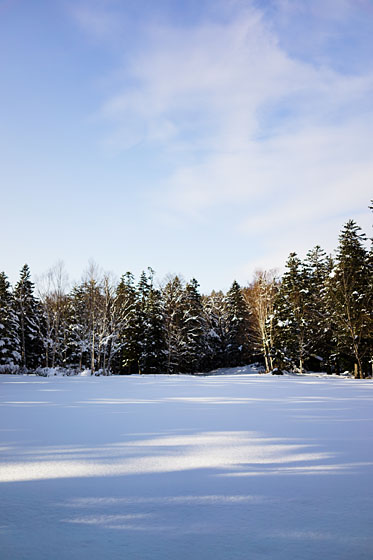 e0025030_9304915.jpg