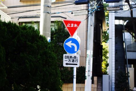 f0045630_9393726.jpg