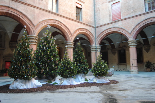 e0203331_21102994.jpg