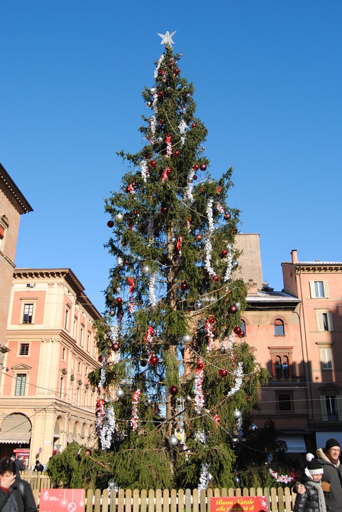 e0203331_2181548.jpg