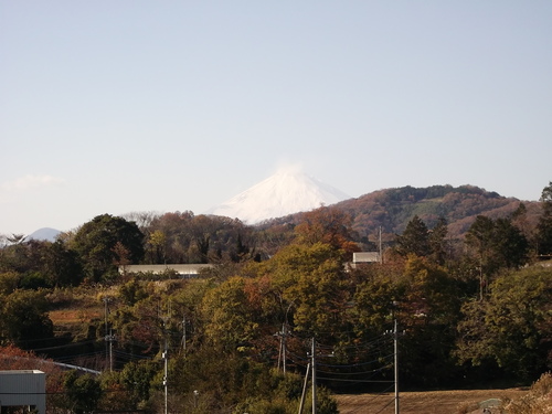 b0137932_1257035.jpg