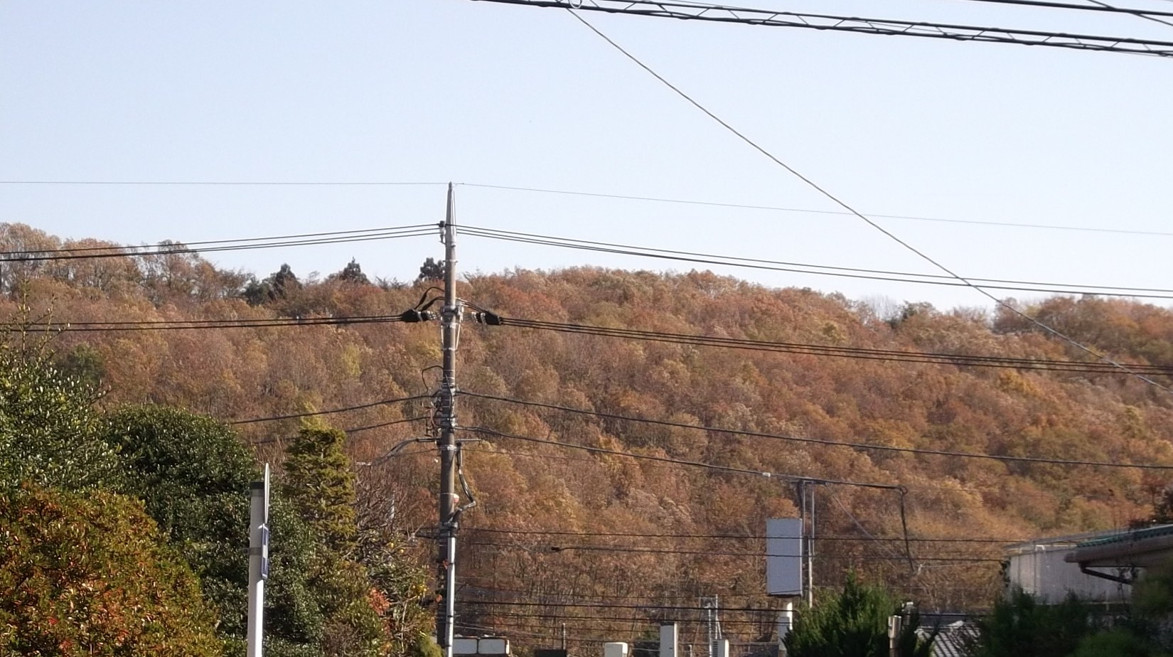 b0137932_12574914.jpg
