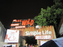 e0066135_3383214.jpg