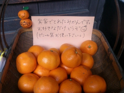 a0116538_1141929.jpg