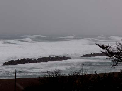 c0019338_237375.jpg