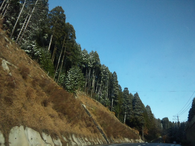 d0244839_22321482.jpg