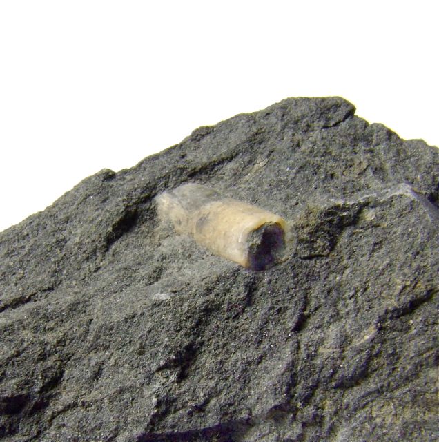 e0290546_1615343.jpg