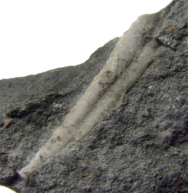 e0290546_1621558.jpg