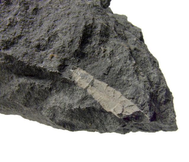 e0290546_1622169.jpg