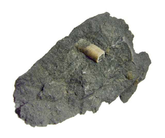 e0290546_162279.jpg