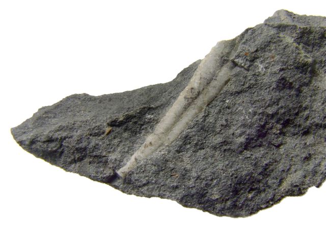 e0290546_162851.jpg