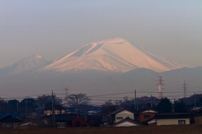 f0044056_985583.jpg