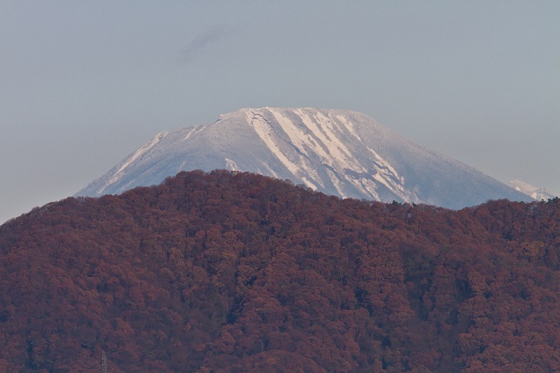 f0044056_994792.jpg