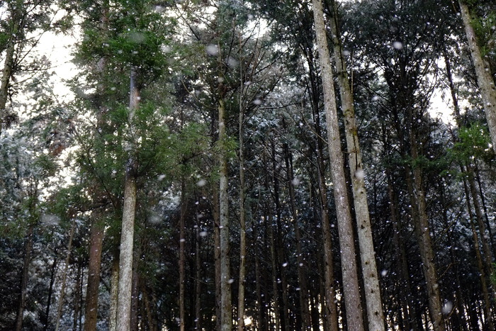 e0264158_1820168.jpg