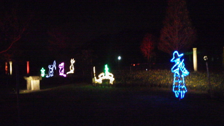 d0000459_022858.jpg