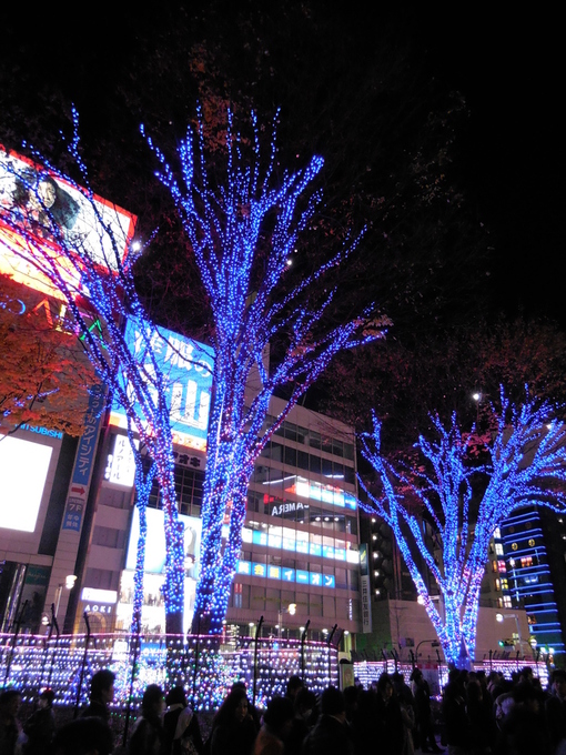 b0286966_22465181.jpg