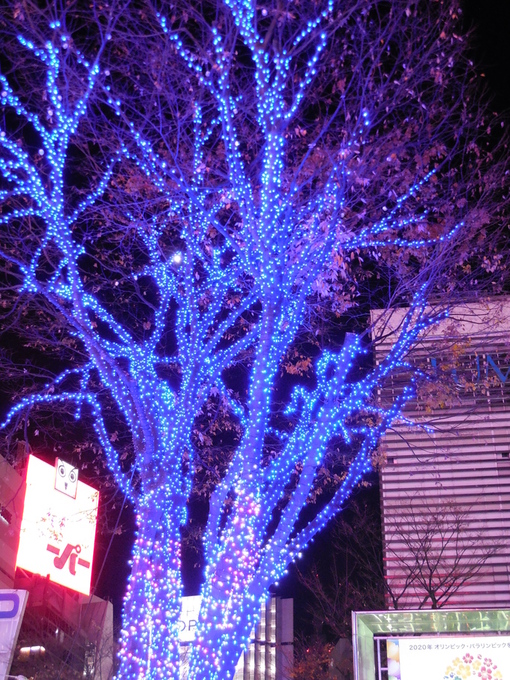 b0286966_22472217.jpg